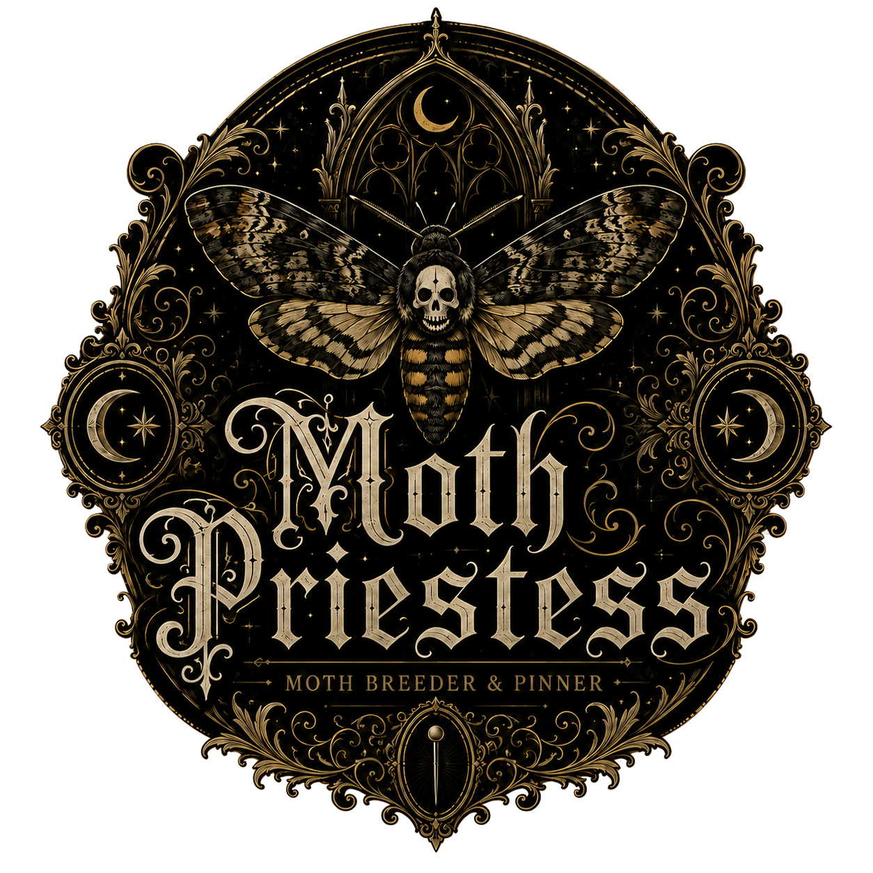 Moth Priestess — moth breeder & pinner